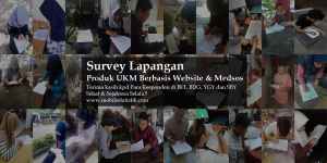 survey lapangan UMKM Indonesia